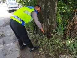 Motor Tabrak Pohon, Pelajar di Magetan Tewas