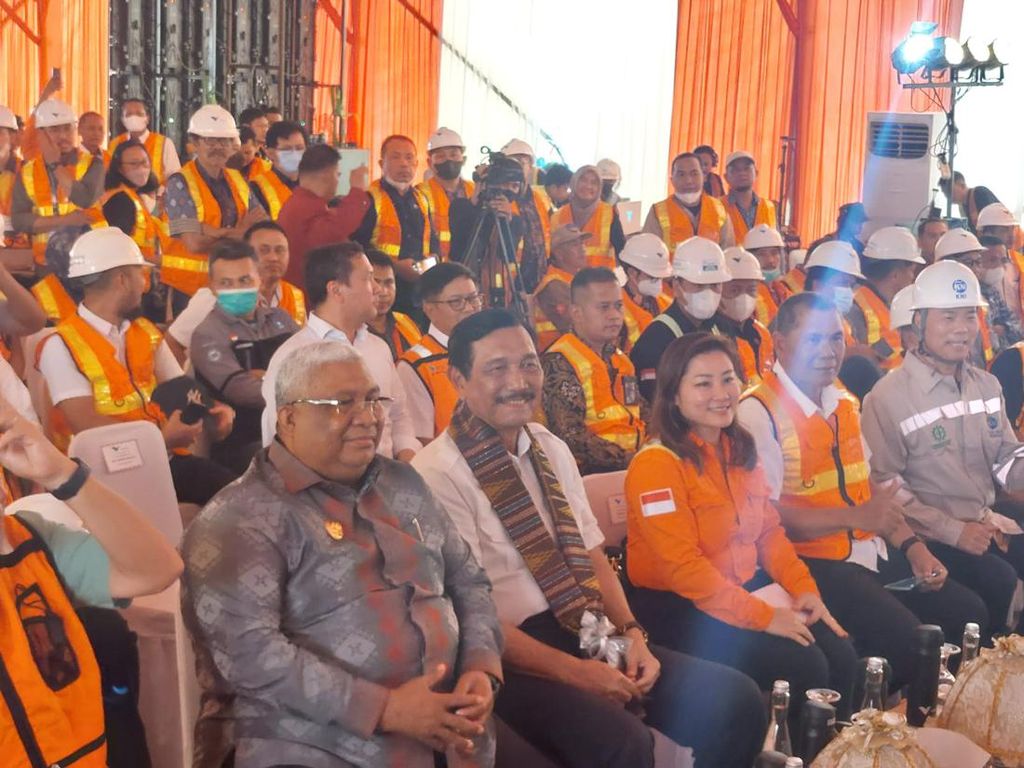 Kontrak Vale Indonesia Habis 2025, Luhut Bilang Begini