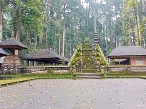 Mitos Kawanan Monyet di Sangeh-Malapetaka Jika Berani Melukai