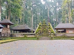 Berani Melukai Monyet di Tempat Ini Bisa Membawa Malapetaka