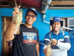 Menengok Dapur Sea Farming di Pulau Panggang