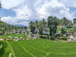 Botram Sambil Healing di Kafe Estetik, Makan Liwet di Tengah Sawah