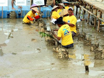 Mandiri Konservasi Lahan Seluas 500 Hektar