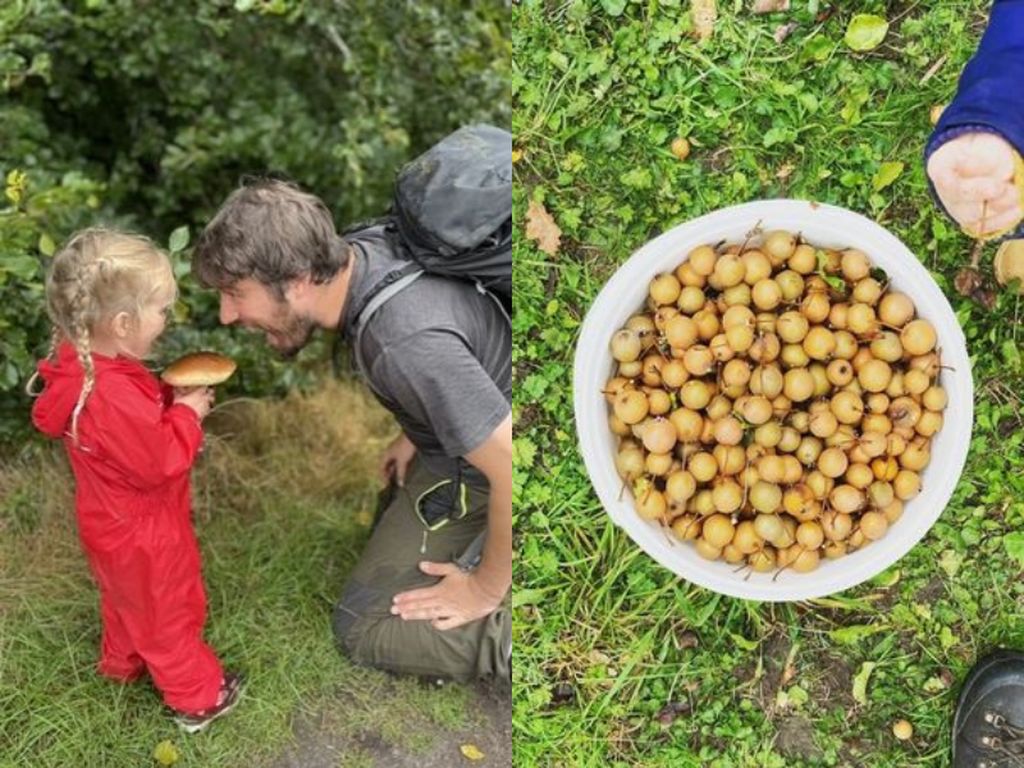 Demi Hemat Rp 1,8 Juta per Minggu, Keluarga Ini Rela Cari Makan di Hutan Demi Hemat Rp 1,8 Juta per Minggu, Keluarga Ini Rela Cari Makan di Hutan