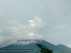 2 Kali Erupsi Pagi Ini, Gunung Semeru Berstatus Siaga