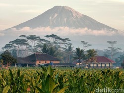 Aturan Rokok Bakal Diperketat, Begini Pandangan YLKI