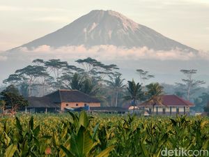 Aturan Rokok Bakal Diperketat, Begini Pandangan YLKI Aturan Rokok Bakal Diperketat, Begini Pandangan YLKI