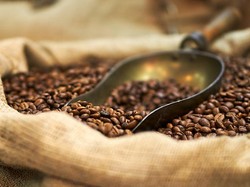 Ini 4 Alasan Mengapa Kopi Rasanya Pahit