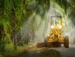 Industri Sawit RI Punya Potensi Jumbo, Tapi...