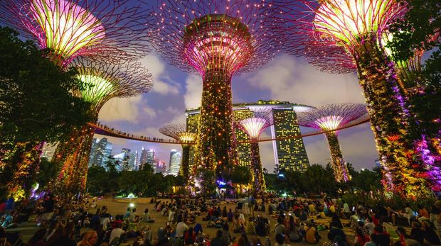 Supertree Grove in the futuristic Gardens by the Bay illuminated in the nightly sound and light show.