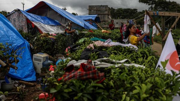 Takut Gempa Susulan, Warga Cianjur Bangun Tenda di Kebun Teh