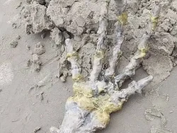 Pasangan Ini Temukan Tangan Alien di Pantai, Wujudnya Bikin Merinding!
