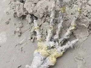 Pasangan Ini Temukan Tangan Alien di Pantai, Wujudnya Bikin Merinding! Pasangan Ini Temukan Tangan Alien di Pantai, Wujudnya Bikin Merinding!