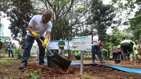 Aksi Tanam Seribu Pohon untuk Jakarta