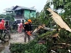 Angin Kencang Sapu Purwodadi Pasuruan, 23 Rumah dan Dua Sekolah Rusak