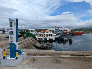 Ada Anjungan Listrik PLN, Nelayan di NTT Bisa Hemat Biaya hingga 70% Ada Anjungan Listrik PLN, Nelayan di NTT Bisa Hemat Biaya hingga 70%