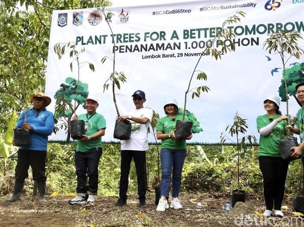 BCA Tanam 1000 Pohon Durian di Gunung Sasak Lombok
