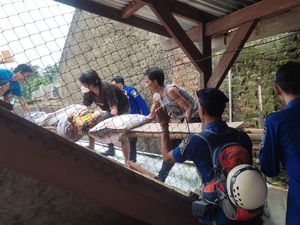 Perempuan Bandung Pingsan di Atap Rumah Saat Jemur Pakaian