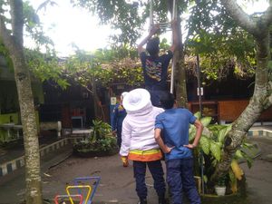 Bahayakan Siswa PAUD, Damkar Jembrana Evakuasi Sarang Lebah