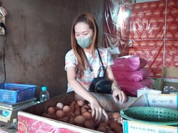 Harga Telur di Tegal Naik Sentuh Rp 31 Ribu per Kg