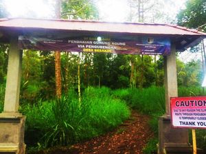 Larangan Mendaki: Pemandu Tutup Gunung Agung-Koster Tak Mau Dikutuk Larangan Mendaki: Pemandu Tutup Gunung Agung-Koster Tak Mau Dikutuk