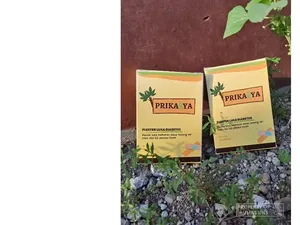 2 Inovasi Para Mahasiswa UNS untuk Penderita Diabetes Mellitus