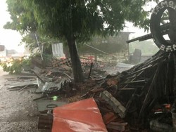 Berteduh Saat Hujan Angin, 2 Orang di Gresik Tertimpa Pohon Hingga Patah Kaki