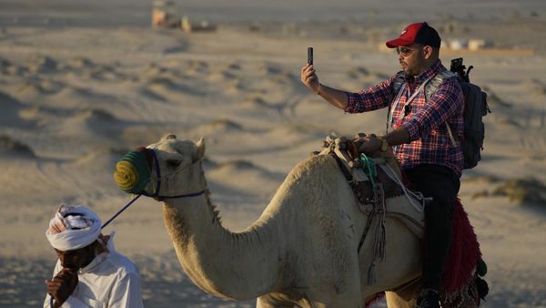 Potret Wisata Unta yang Laris Manis di Qatar