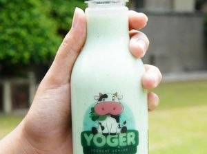 Mahasiswa UGM Jadikan Genjer Campuran Bahan Baku Yoghurt