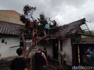 Angin Kencang Rusak Rumah-Pertokoan di Mojokerto, 1 Siswi SMA Terluka Angin Kencang Rusak Rumah-Pertokoan di Mojokerto, 1 Siswi SMA Terluka