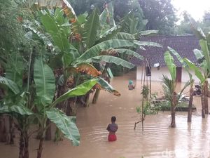 10 Desa di Parengan Tuban Banjir, Warga Ada yang Bertahan Demi Ternak