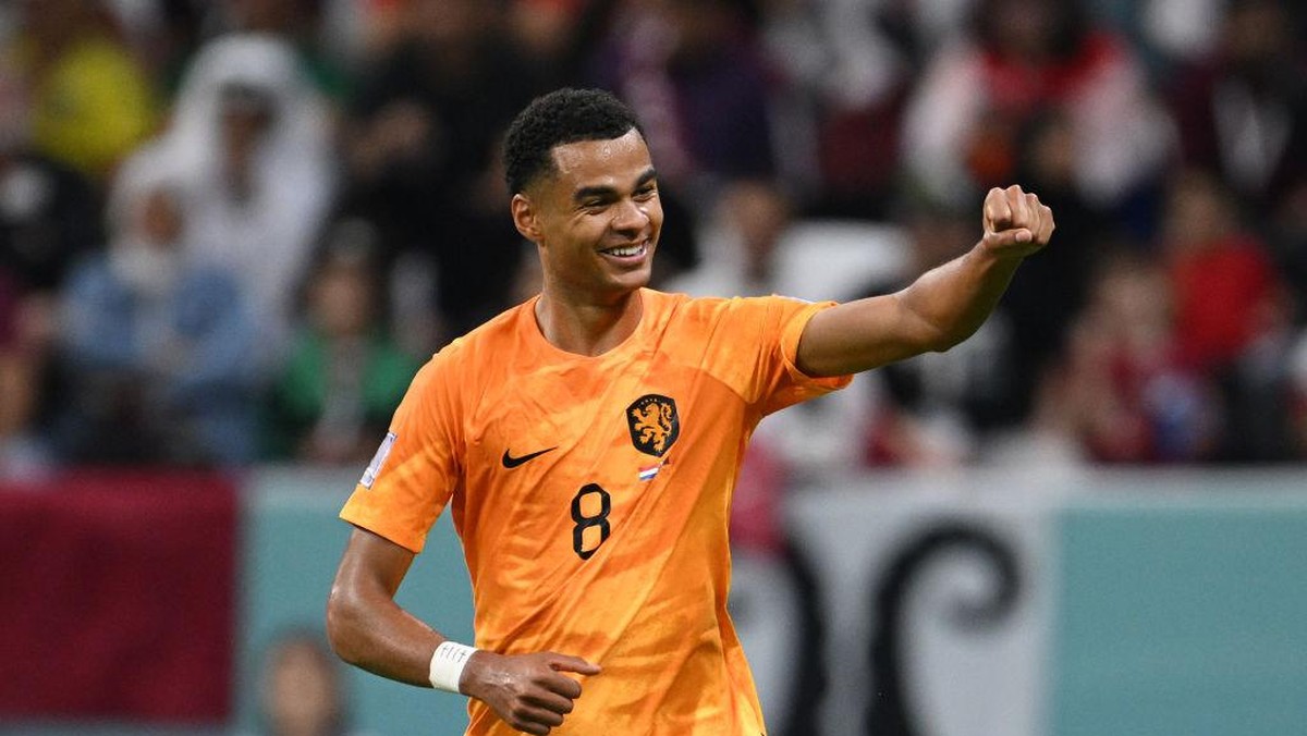Link live streaming Belanda vs Amerika Serikat di Piala Dunia 2022. (Foto: Getty Images/Matthias Hangst)