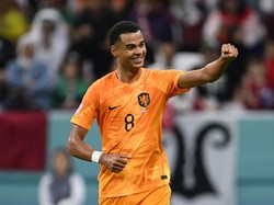 Top Skor Piala Dunia 2022: Cody Gakpo Samai Mbappe