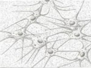 30 Contoh Soal PAS Biologi Kelas 11 dan Jawaban, Yuk Pelajari!