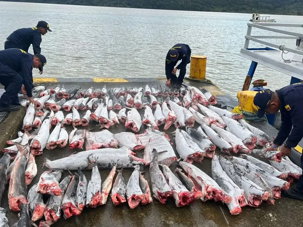 Sedih Banget, 114 Hiu yang Dilindungi Dimutilasi di Kapal Nelayan Sedih Banget, 114 Hiu yang Dilindungi Dimutilasi di Kapal Nelayan