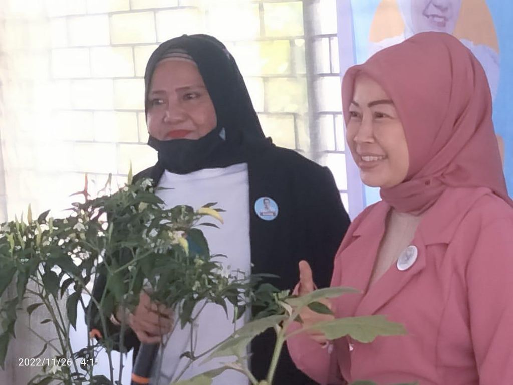 Ibu-ibu di Riau Diberi Pelatihan Budidaya Cabai dari Relawan Sandiaga