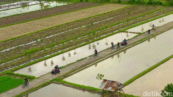 Sejuknya Udara Persawahan di Desa Wisata Bilebante Lombok