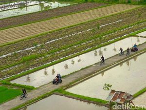 Sejuknya Udara Persawahan di Desa Wisata Bilebante Lombok Sejuknya Udara Persawahan di Desa Wisata Bilebante Lombok