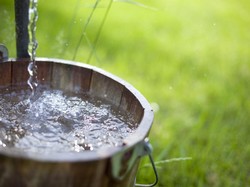 Hukum Makruh: Pengertian, Jenis dan Contohnya