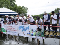 Pekerja Pertamina Jadi Relawan di Cilacap, Edukasi EBT-Tanam Mangrove