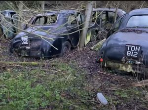 Ada Kuburan Mobil Klasik di Hutan Ini, Begini Potretnya!