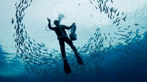 Aksi Sinterklas Menyelam Bersama Ikan-ikan untuk Sambut Natal