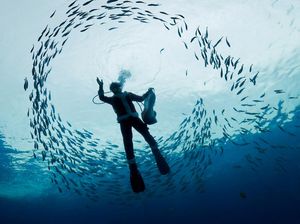 Aksi Sinterklas Menyelam Bersama Ikan-ikan untuk Sambut Natal