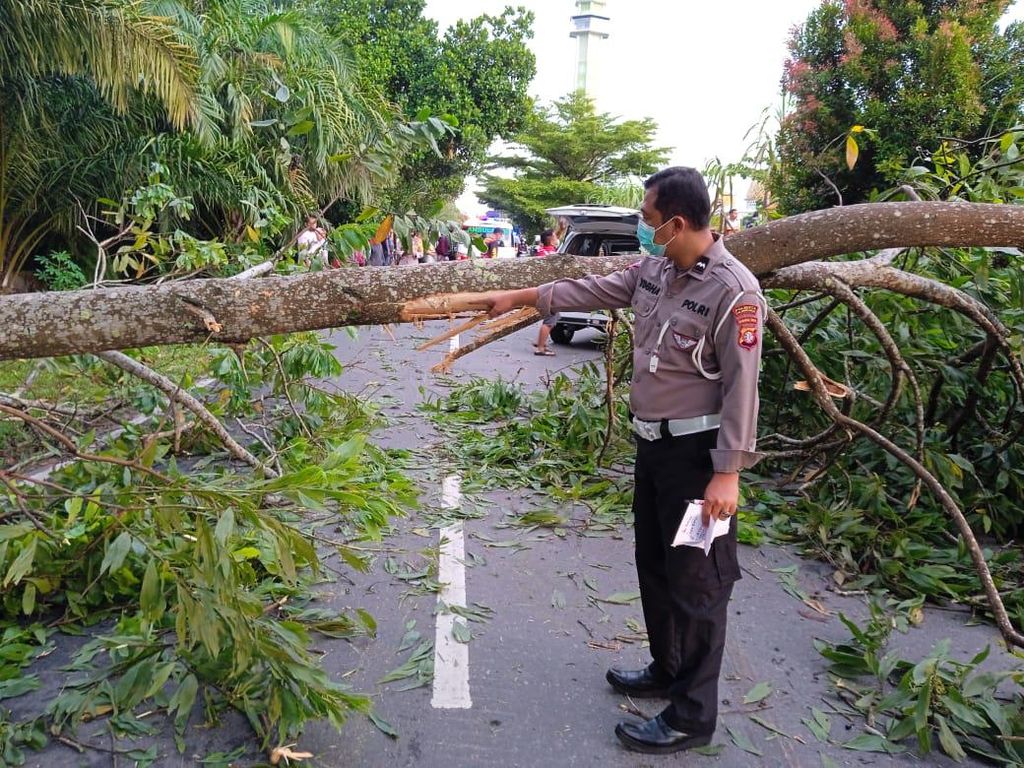 2 Pemotor di Palangkaraya Tewas Tabrak Pohon Tumbang