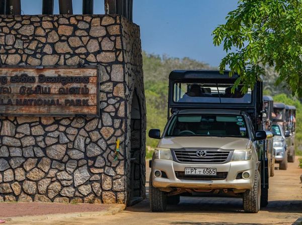Mengunjungi Taman Nasional Terbesar Kedua di Sri Lanka