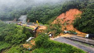 Potret Longsor di Brasil yang Putuskan Jalan dan Timbun Kendaraan