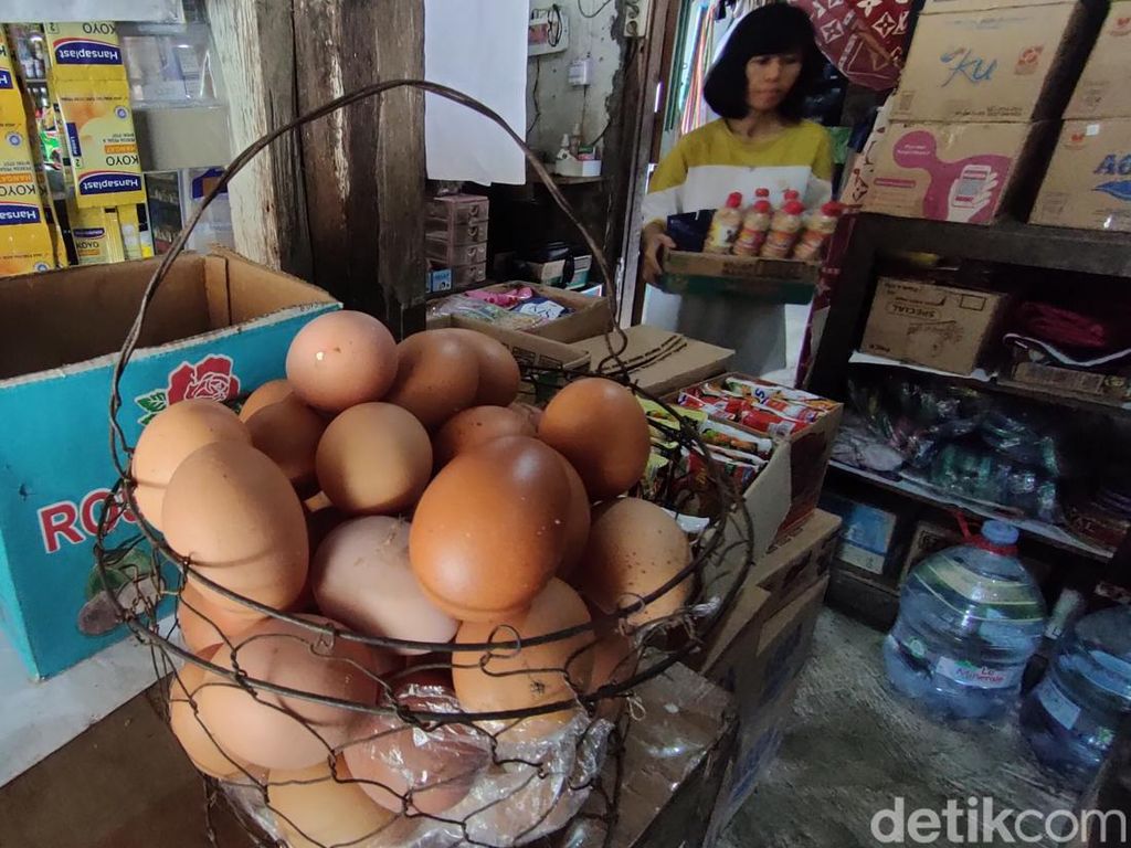 Harga Telur Ayam di Kulon Progo Tembus Rp 30 Ribu/Kg