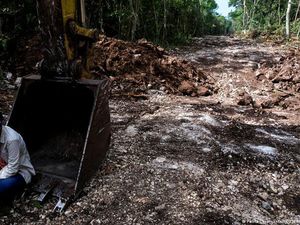 Alam Seharga Nyawa? Ancaman Pembunuhan Mewabah Bagi Pegiat Lingkungan