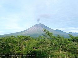 Gunung Semeru Kembali Erupsi Keluarkan Abu Setinggi 500 Meter