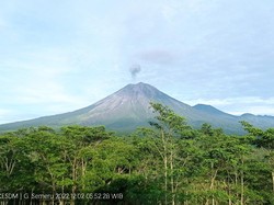 Gunung Semeru Kembali Erupsi Keluarkan Abu Setinggi 500 Meter